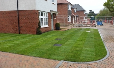 Lush green turf rolls beautify the vibrant front garden landscape.