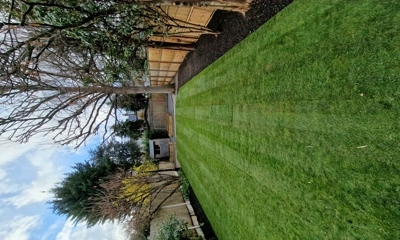  Natural grass is a great addition to any garden due to the environmental benefits
