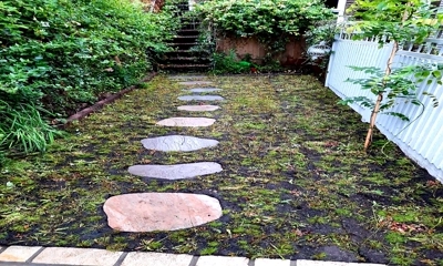 Hand-cut sandstone stepping stones amid vibrant wild turf, natural tranquility captured.
